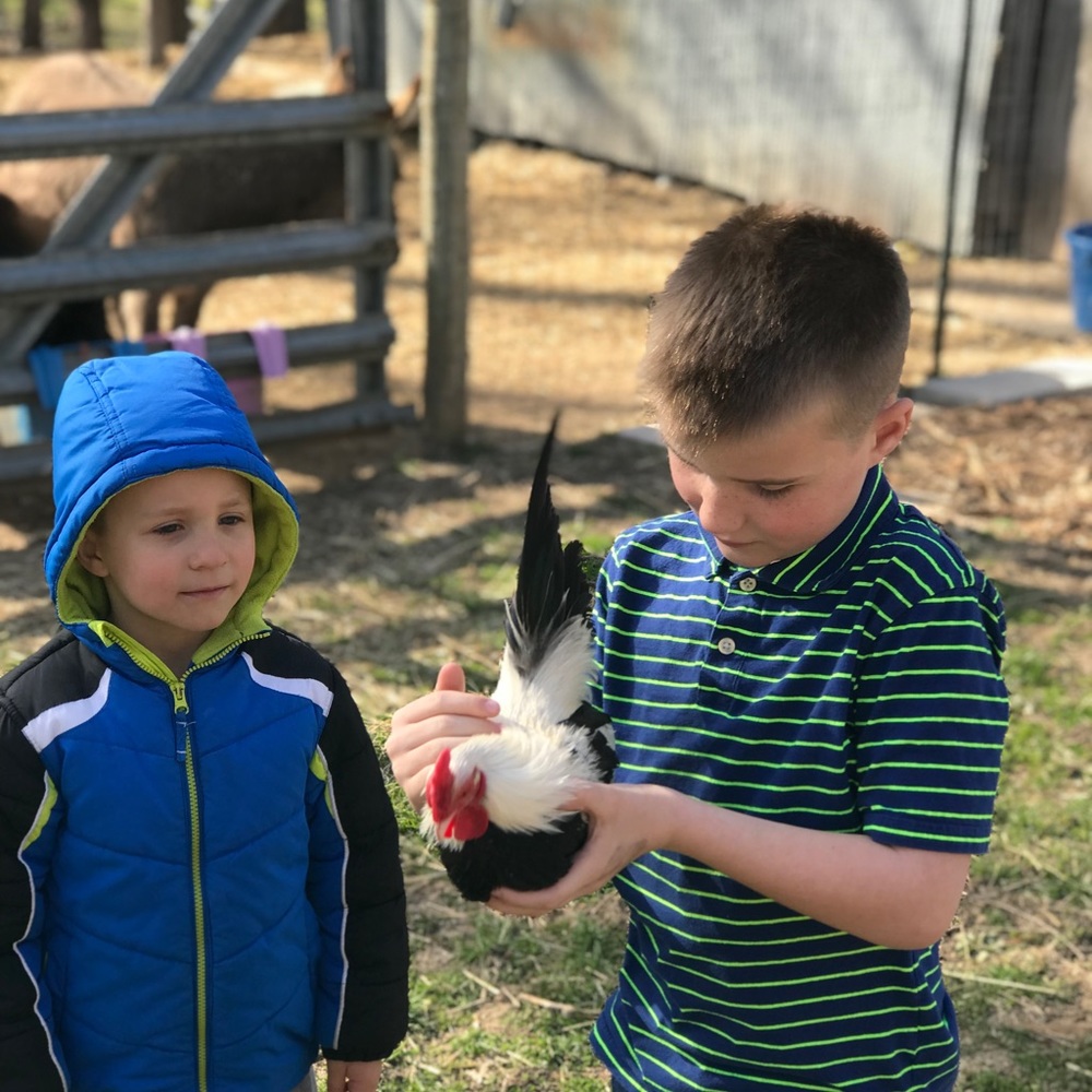 Meet your Posher, Jason